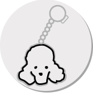 キーホルダー写真